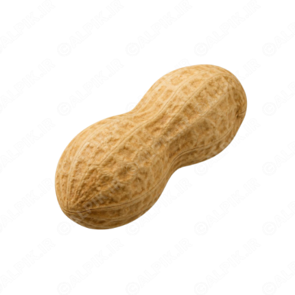 آیکون بادام زمینی با پوست بدون پس‌زمینه