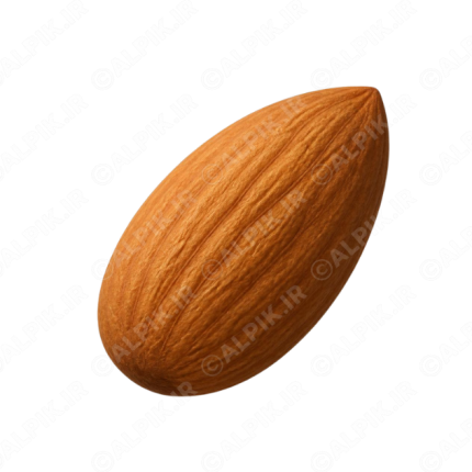 آیکون بادام درختی بدون پس‌زمینه