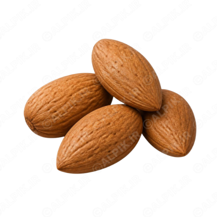 آیکون بدون پس‌زمینه مغز بادام درختی