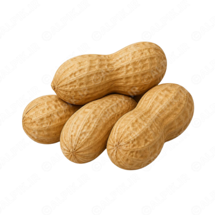 آیکون بدون پس‌زمینه بادام زمینی با پوست