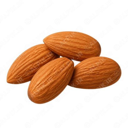 آیکون بدون پس‌زمینه مغز بادام درختی