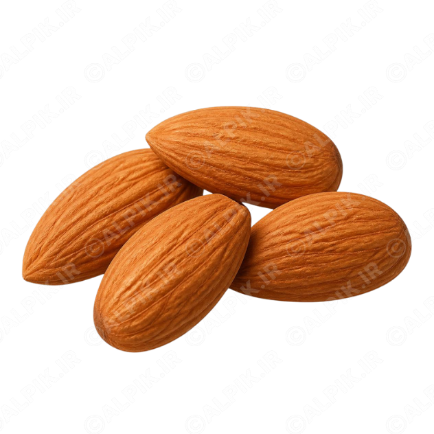 alpik-3175033.png آیکون بدون پسزمینه مغز بادام درختی