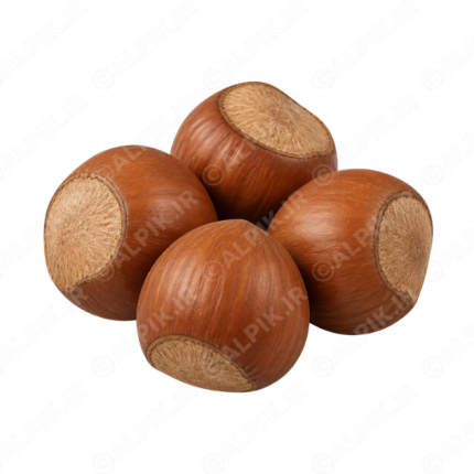 آیکون بدون پس‌زمینه فندق با پوست
