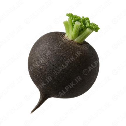 آیکون بدون پس‌زمینه ترب سیاه