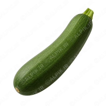 آیکون بدون پس زمینه کدو سبز