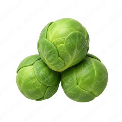 آیکون بدون پس‌زمینه کلم بروکسل تازه