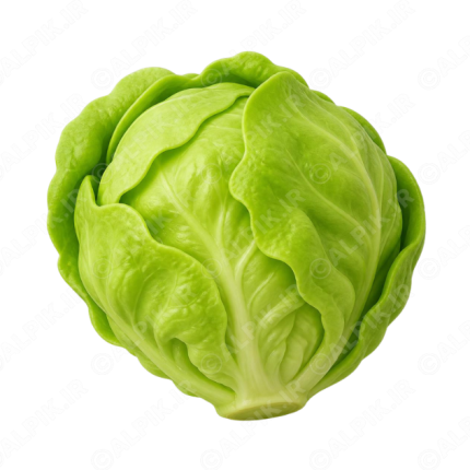 آیکون سه بعدی کلم سبز بدون پس زمینه