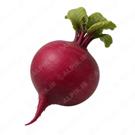 آیکون بدون پس‌زمینه چغندر قرمز