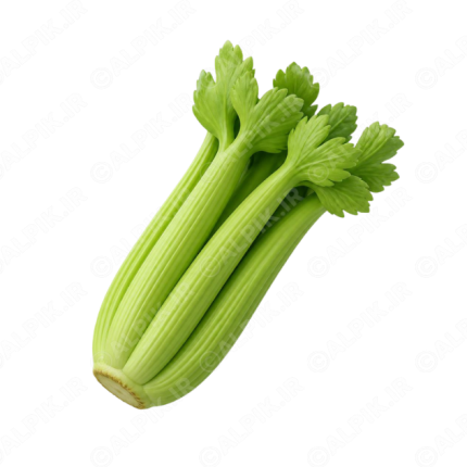 آیکون کرفس تازه بدون پس‌زمینه