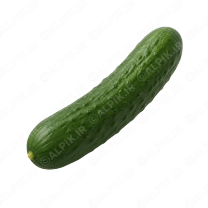 آیکون بدون پس‌زمینه خیار تازه
