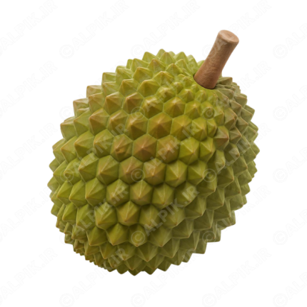 آیکون سه بعدی میوه خارگیل (دوریان)