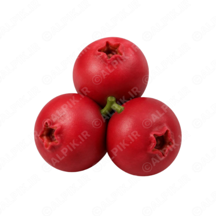 آیکون سه بعدی کرنبری سرخ