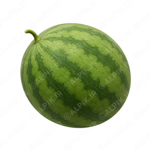 alpik-3193296.png آیکون هندوانه کامل بدون پسزمینه