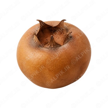 آیکون باکیفیت میوه ازگیل تازه