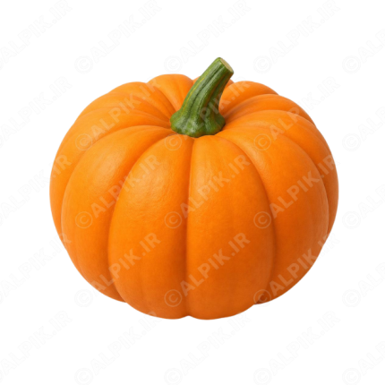 آیکون بدون پس‌زمینه کدو تنبل
