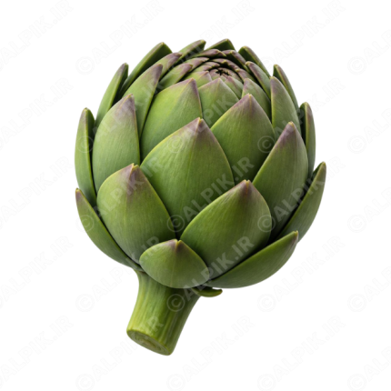 آیکون سه بعدی آرتیشو (کنگر فرنگی)
