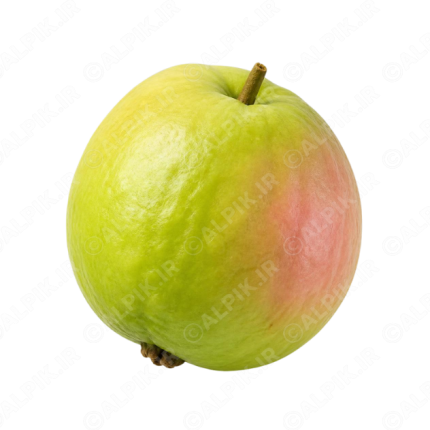 آیکون دوربری شده میوه گواوا