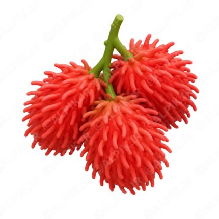 آیکون سه بعدی میوه رامبوتان