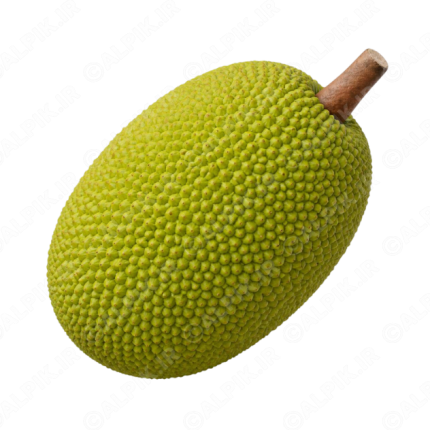 آیکون بدون پس‌زمینه میوه جک‌فروت