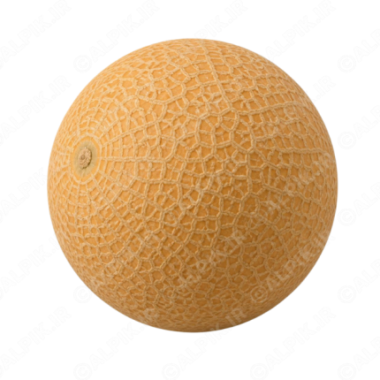 آیکون بدون پس‌زمینه طالبی کامل