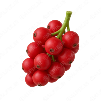 آیکون سه بعدی انگور فرنگی قرمز