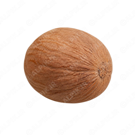 دانه جوز هندی بدون پس‌زمینه